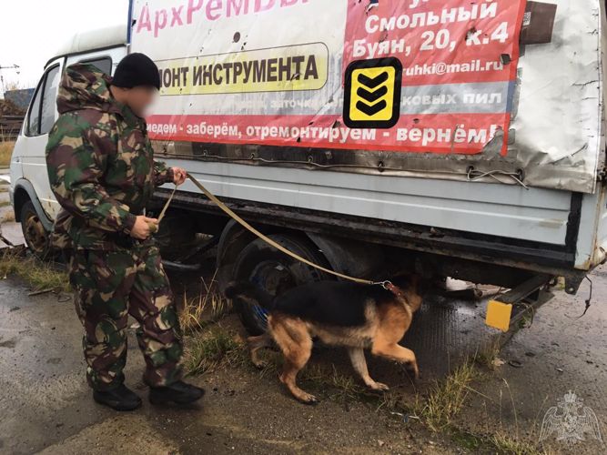 В Архангельской области кинологи регионального управления Росгвардии и отряда «Ратник» повысили свои профессиональные навыки