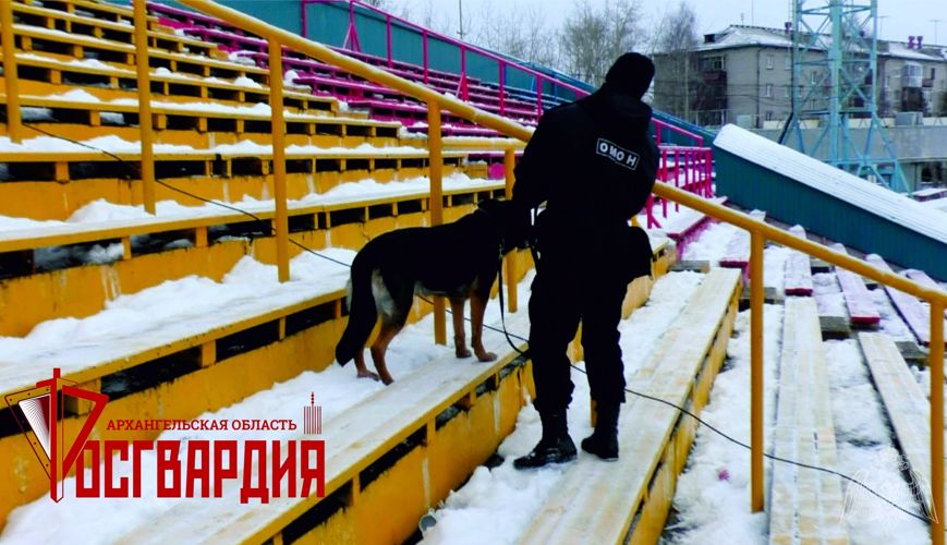 Сотрудники архангельского ОМОН приняли участие в обеспечении общественной безопасности на матче чемпионата России по хоккею с мячом