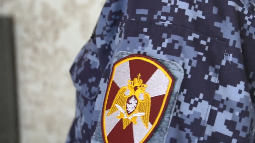В Онежском районе Архангельской области владельца оружия привлекли к ответственности за незаконную добычу водоплавающей дичи