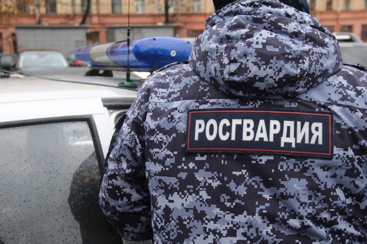Сотрудники вневедомственной охраны Росгвардии по Няндомскому району задержали ранее судимого местного жителя, подозреваемого в совершении имущественного преступления