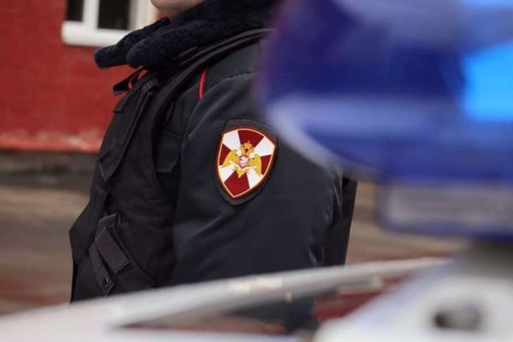 В городе Мирном сотрудники Росгвардии задержали подозреваемого в совершении имущественного преступления