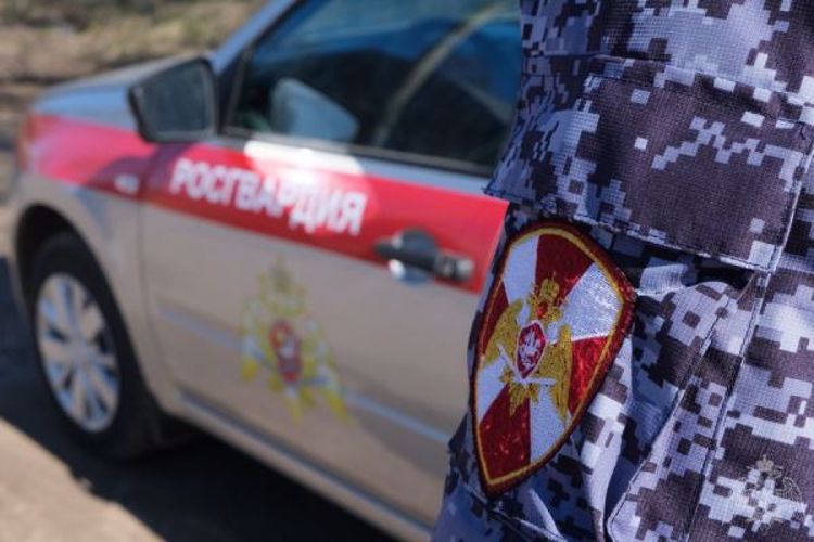 Архангельские росгвардейцы задержали подозреваемого в преступлении, объявленного в розыск 