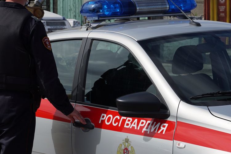 Наряд Росгвардии в Архангельске задержал рецидивиста, вновь преступившего закон 