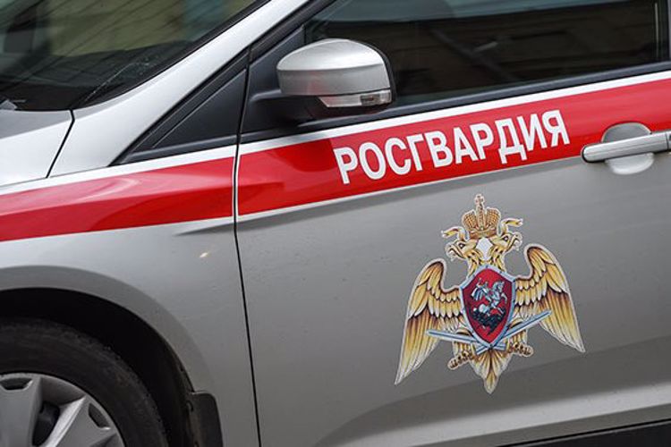 В Северодвинске патруль Росгвардии задержал двух подозреваемых в совершении хищений из магазина