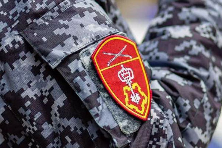 Северодвинский наряд Росгвардии задержал подозреваемого в хищении товара   