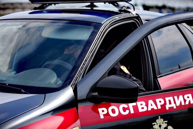 Няндомские росгвардейцы задержали разыскиваемую за кражу рецидивистку