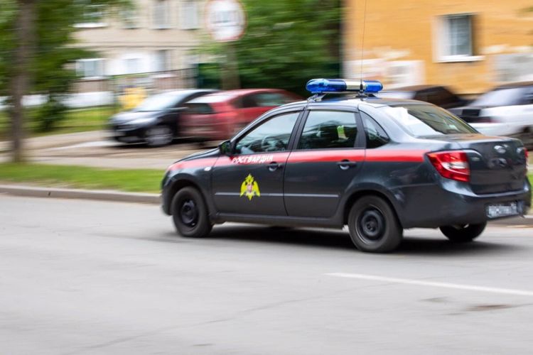 В Архангельске экипаж Росгвардии вернул родственникам потерявшегося пожилого мужчину