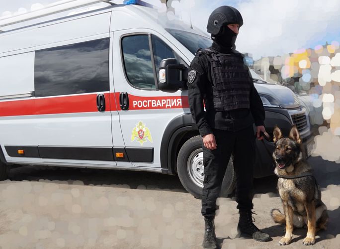 В День города Архангельска сотрудники и военнослужащие Росгвардии приняли участие в охране общественного порядка