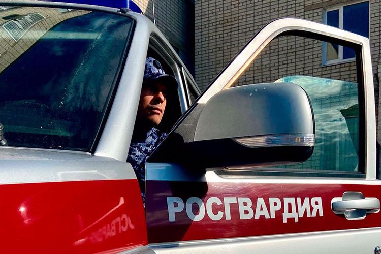 В Няндоме сотрудники Росгвардии задержали мужчину, пытавшегося похитить товары из магазина