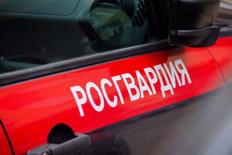 В Северодвинске автопатруль Росгвардии задержал посетителя магазина, подозреваемого в хищении товара