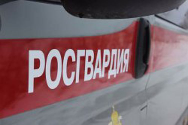 Северодвинские росгвардейцы задержали похитителя крышки канализационного люка