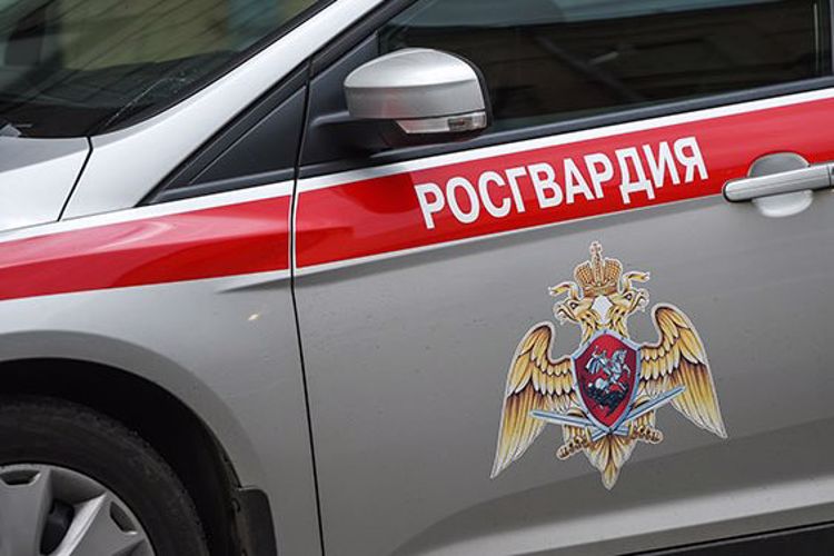 В Няндоме наряд Росгвардии задержал подозреваемого в хищении товара