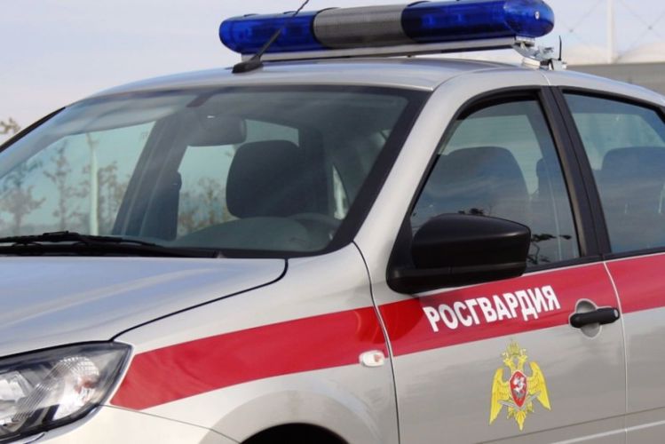 Архангельский наряд Росгвардии задержал подозреваемого в хищении строительного инструмента