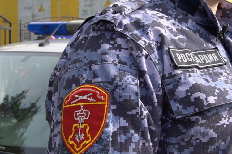 Архангельский наряд Росгвардии задержал гражданина, подозреваемого в хищении алкогольной продукции
