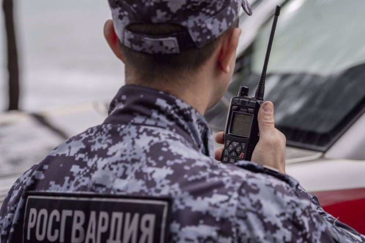 В Мирном наряд Росгвардии задержал объявленную в федеральный розыск рецидивистку