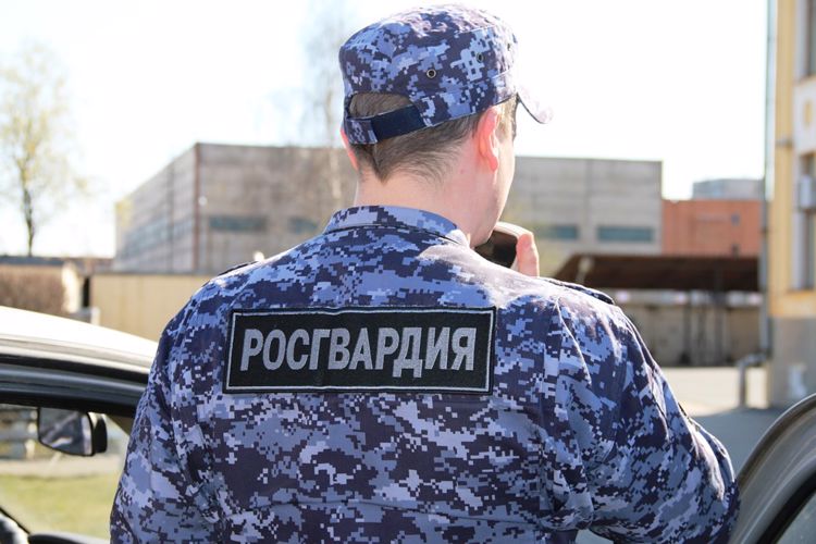 Сотрудники Росгвардии задержали в Архангельске ранее судимого мужчину, подозреваемых в хищении продуктов