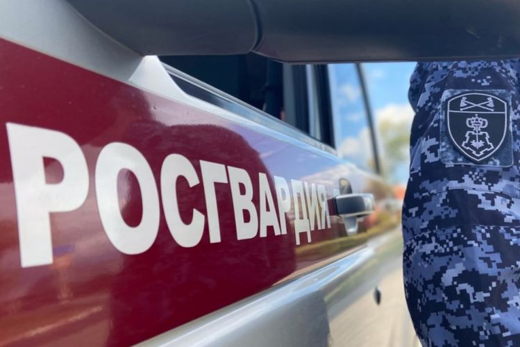 В Северодвинске наряд Росгвардии задержал женщину, пустившую в ход детскую коляску, чтобы похитить товар из магазина