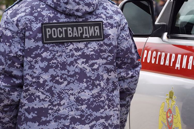В Вельске сотрудники Росгвардии задержали двух малолетних граждан при попытке обокрасть местный бар