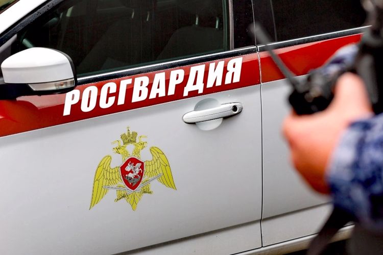 Архангельский наряд Росгвардии задержал подозреваемого в краже товара