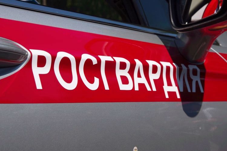 Сотрудники Росгвардии задержали ранее судимого архангелогородца, подозреваемого в краже из магазина