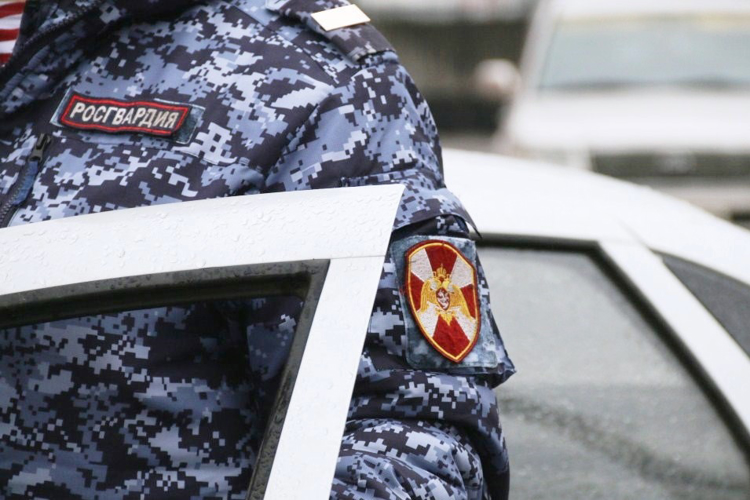 Наряд Росгвардии задержал ранее судимого архангелогородца, подозреваемого в краже товара  