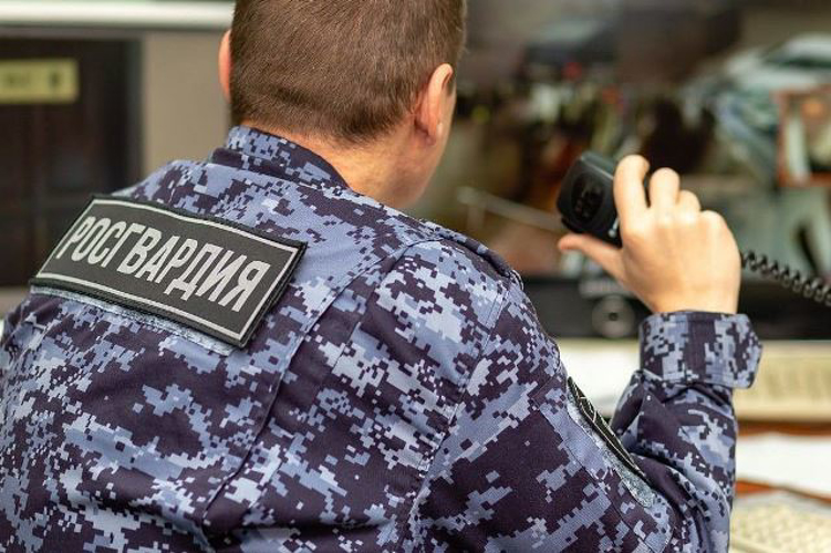 Коряжемские росгвардейцы нашли без вести пропавшую женщину