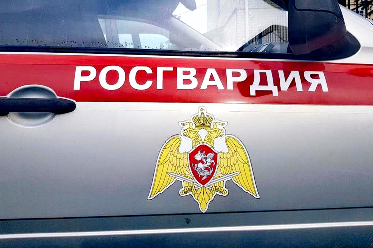 Наряд Росгвардии задержал архангелогородца, подозреваемого в ночной краже
