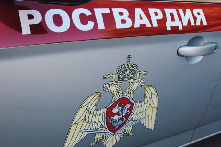 В Поморье инспекторы ЛРР Росгвардии за неделю пресекли 15 нарушений в сфере оборота оружия