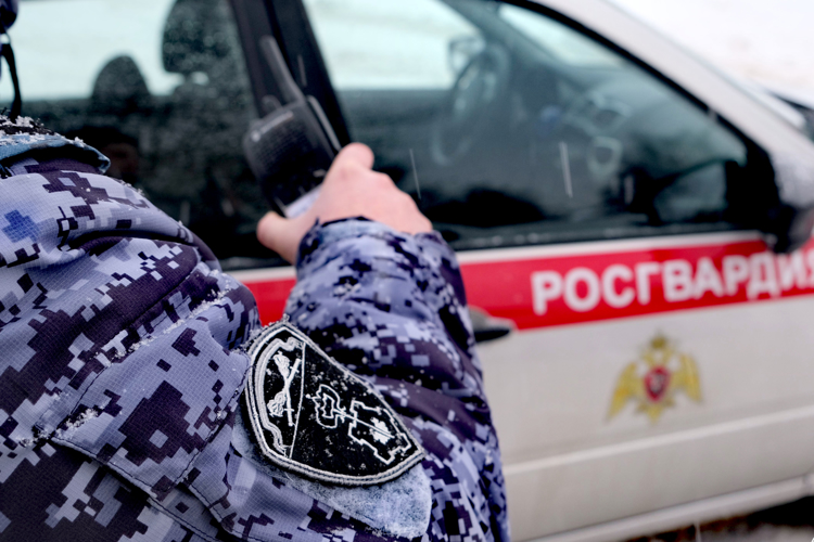 Росгвардейцы Архангельска задержали ранее судимого мужчину, подозреваемого в новой краже