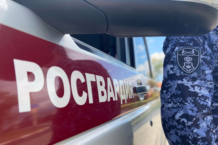 В Северодвинске наряд Росгвардии задержал объявленную в федеральный розыск местную жительницу