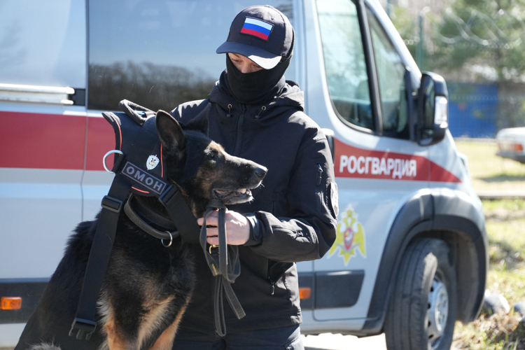 C почестями проводили на заслуженный отдых служебную собаку Росгвардии