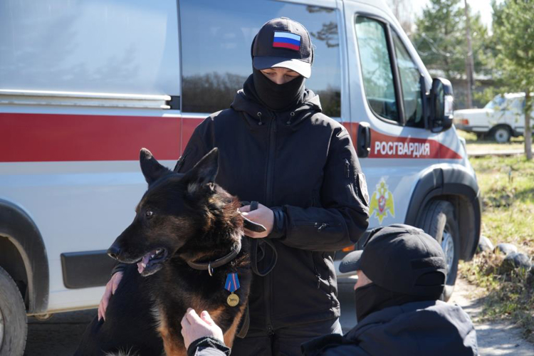 C почестями проводили на заслуженный отдых служебную собаку Росгвардии