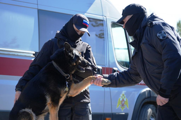 C почестями проводили на заслуженный отдых служебную собаку Росгвардии