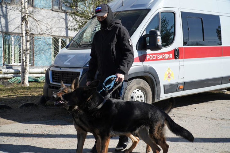 C почестями проводили на заслуженный отдых служебную собаку Росгвардии
