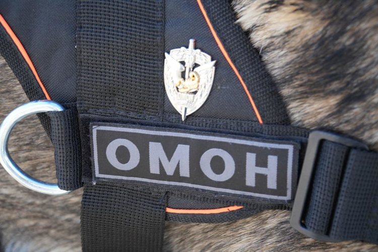 C почестями проводили на заслуженный отдых служебную собаку Росгвардии