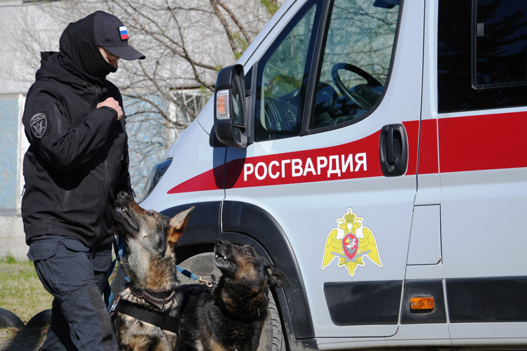 C почестями проводили на заслуженный отдых служебную собаку Росгвардии