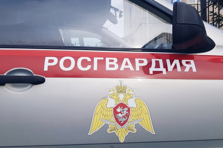 В Няндоме наряд Росгвардии по горячим следам задержал подозреваемого в хищении алкоголя