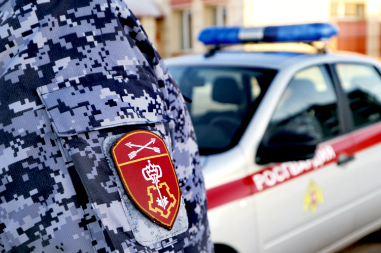 В Северодвинске сотрудники Росгвардии задержали подозреваемую в магазинной краже женщину