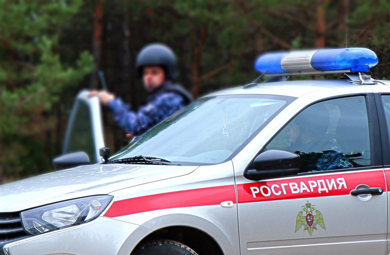 В Северодвинске наряд Росгвардии задержал магазинную воровку
