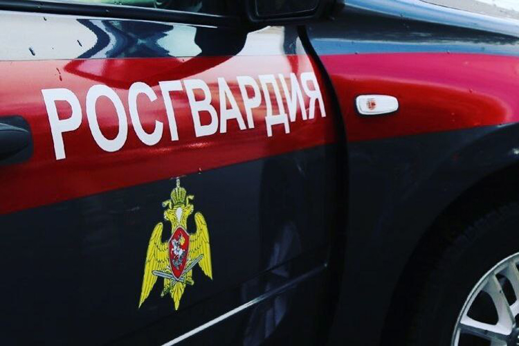 Росгвардейцы Поморья за неделю изъяли 32 ружья и задержали 106 правонарушителей