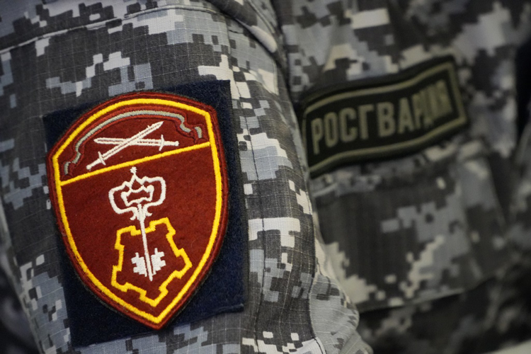 Росгвардейцы Северодвинска задержали ранее судимую женщину, подозреваемую в нанесении потерпевшему ножевого ранения