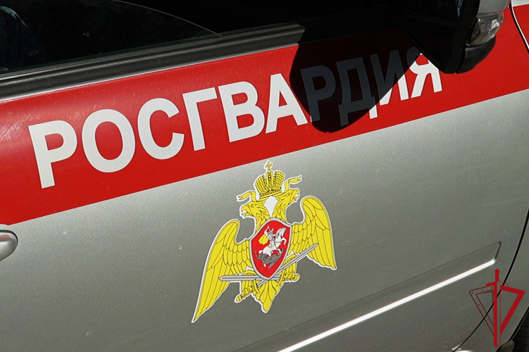 Росгвардейцы Поморья за прошедшую неделю проверили 166 владельцев оружия и задержали 105 правонарушителей