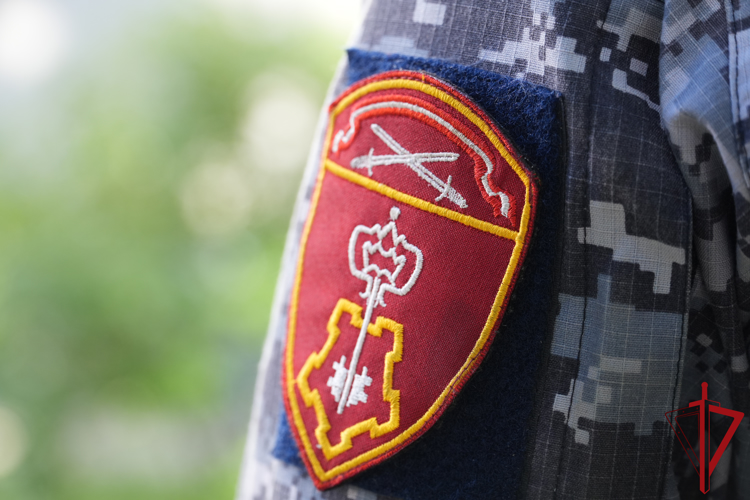 В Няндоме патруль Росгвардии задержал объявленного в розыск мужчину
