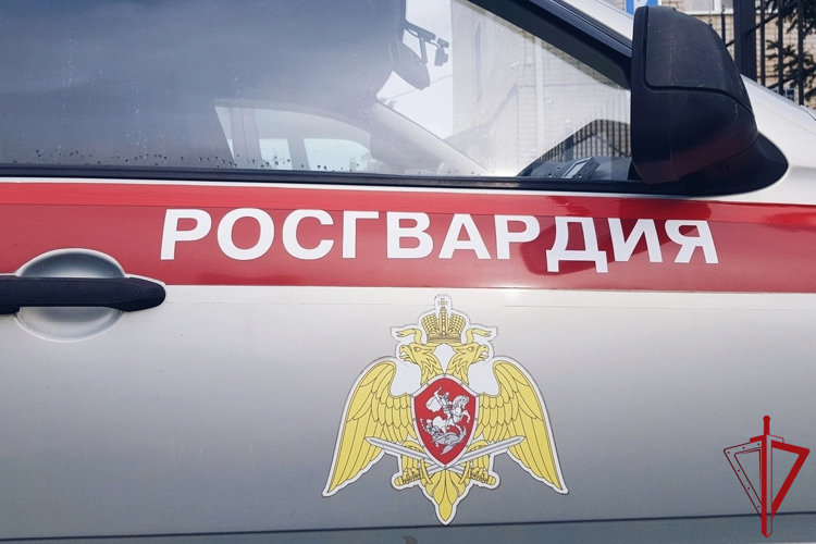 Патруль Росгвардии задержал ранее судимого архангелогородца, подозреваемого в краже одежды