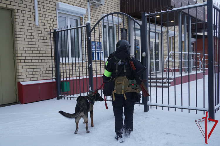 В Поморье сотрудники спецподразделений Росгвардии приняли участие в тренировке по антитеррористической защищенности