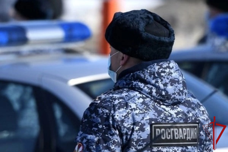 Северодвинские росгвардейцы задержали объявленного в федеральный розыск злоумышленника