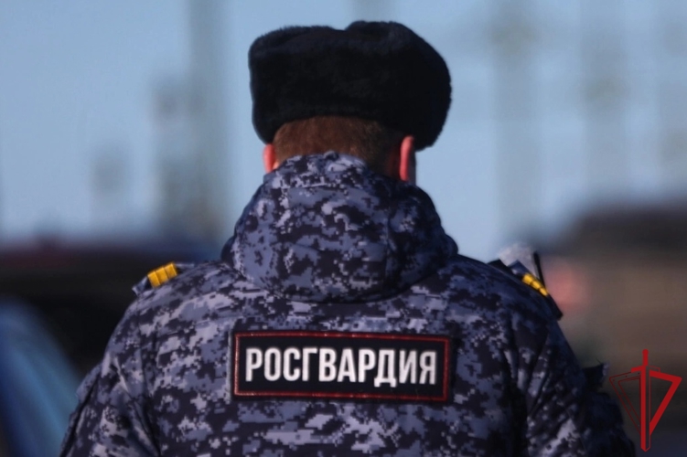Росгвардейцы Поморья за неделю пресекли 18 посягательств на охраняемое имущество и изъяли 20 ружей у нарушителей