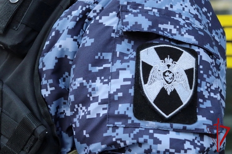 Сотрудники Росгвардии задержали новодвинца, уклонявшегося от наказания