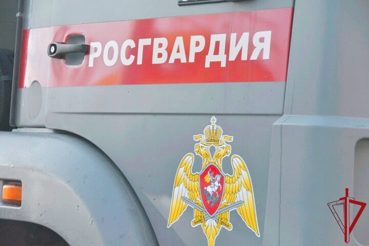 Росгвардейцы Поморья за неделю изъяли у нарушителей 20 ружей и доставили в ОВД 145 правонарушителей