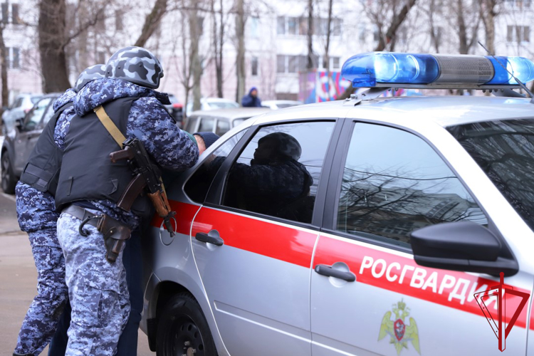 Сотрудники Росгвардии задержали архангелогородца, подозреваемого в краже продуктов на большую сумму